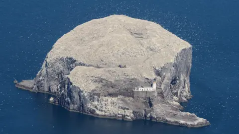 A large island rock with a lighthouse to the front, covered in white birds.