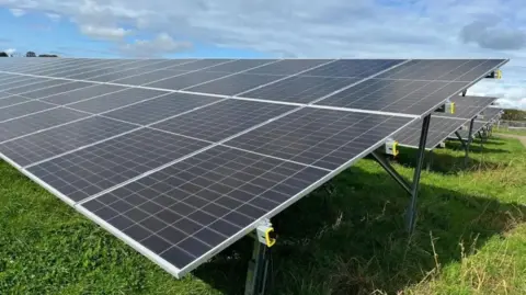 BBC Several arrays of solar panels in a grassy field on a sunny day.