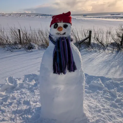 Bev Haston A snowman, with a purple and black scarf and a red hat