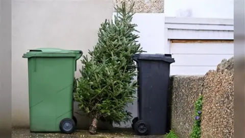 A Christmas tree in between a green and a black wheelie bin.