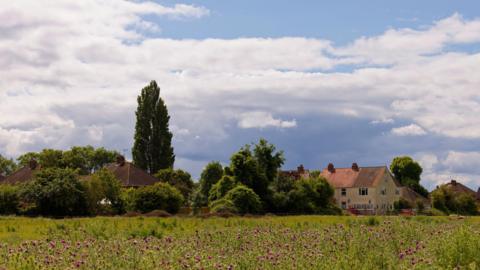 SUNDAY - Eton Wick. Houses under a blue sky with a field of purple flowers in the foreground