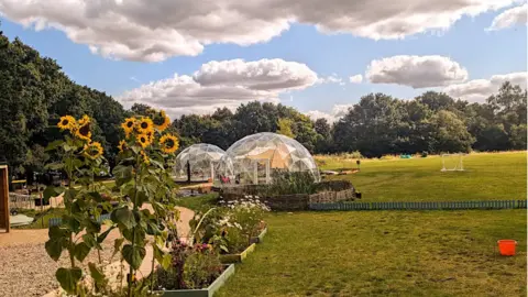 A large green space area with trees in the background. in the foreground there are sunflower plants. In the middle of the field there are glass domes.