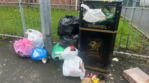 Bagged waste dumped near a bin in Canton, Cardiff