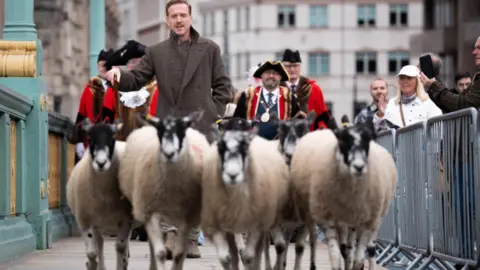 PA Media Hollywood actor Damian Lewis wears a grey coat as he shepherds sheep across southwark bridge. City of London freemen walk in the background as members of the public take images on mobile phones