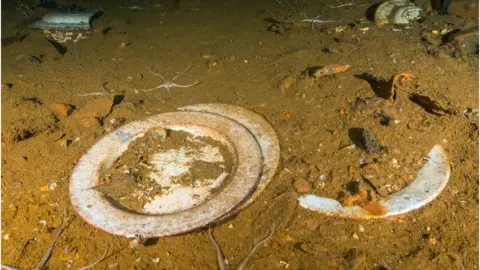 Kieran Hatton/HMS Royal Oak 80 Survey plates from HMS Royal Oak found on the seabed