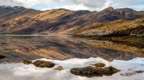 A Scottish hillside reflected in a sea loch on a cloudy day