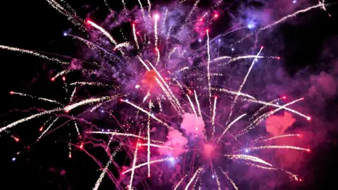 Pink and purple fireworks are being let off into the night sky and sparkling.