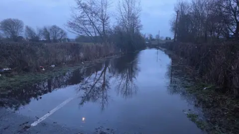 A flooded country road, with lines of trees on either side. 