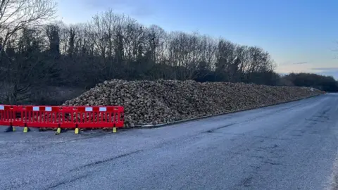 Stuart Howells/BBC Sugar beet on a cycle way