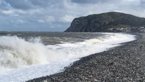 Getty Images North shore beach with brown crashing waves.