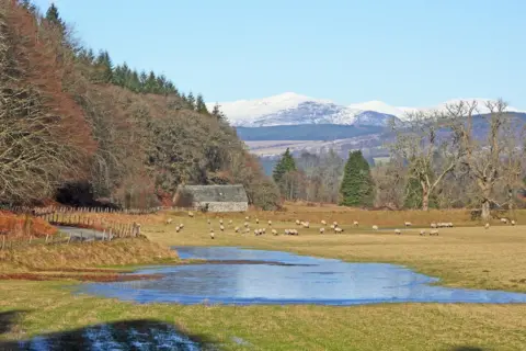 Eric Niven A scenic view of a wide, grassy field with sheep, trees and snow-covered mountains in the distance. There is a pool of water in the foreground and a small stone building next to a wooded area.