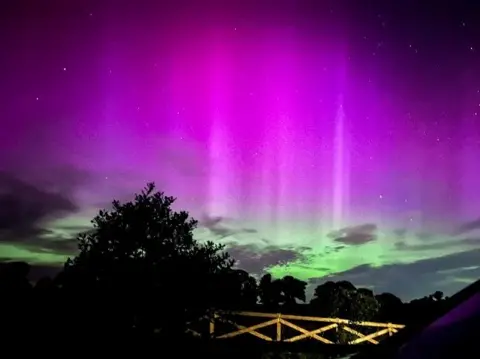 BBC Weather Watchers / Minnie Northern lights in pink and green shades are seen in the night sky. A tree and a fence are in silhouette. 