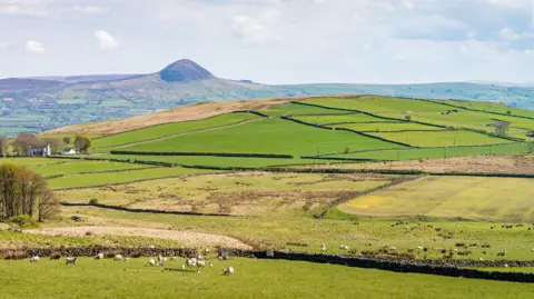 Green farmland in Northern Ireland extending into the distance. There is a hill in the background and sheep in the foreground. The land is divided by stone walls. 