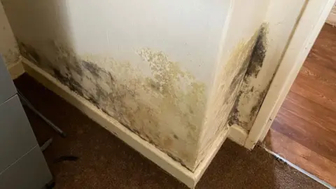 An image showing a wall at the home. The lower wall, above the skirting board, is discoloured black, grey and green.