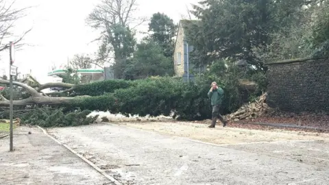 BBC A fallen tree blocking a road