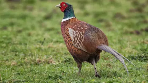 Getty Images shooting