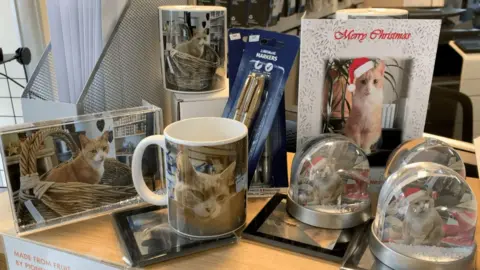 A selection of gifts with images of Thomas the cat printed on them, including snow globes, a mug and a paperweight.