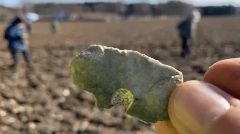 Mesolithic Deeside Flint