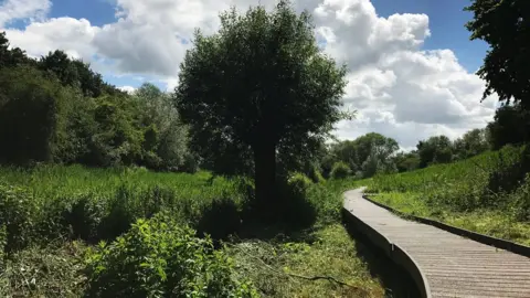 Esther Johnson Lye Valley Nature Reserve