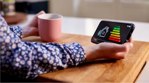 Getty Images Person looking at smart meter - stock shot