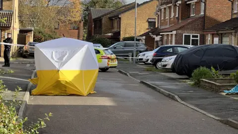 BBC Emergency services were called to Burket Close, Southall