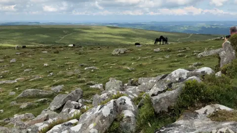 Covid Dartmoor National Park appalled by London visitors