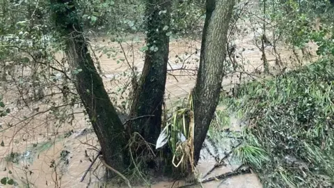 Image of fast flowing river