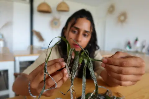 JIHED ABIDELLAOUI / REUTERS Engineer in fisheries and marine environment, Ramla Bouhlel, displays a Posidonia plant, inside Notre Grand Bleu headquarters.