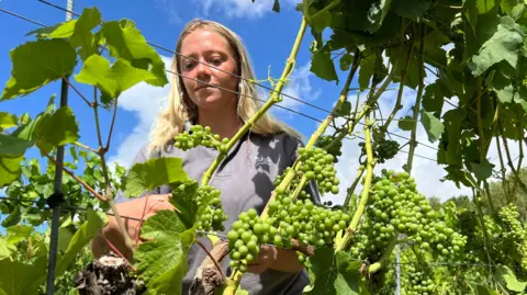 A woman, with blonde hair and wearing a grey top, tends to grape vines with a blue sky behind her