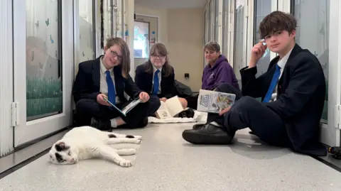 A white cate with black markings and no ears asleep on the floor. Three young teenagers surround him with books in their hands. A woman in a purple hoodie is in the far left