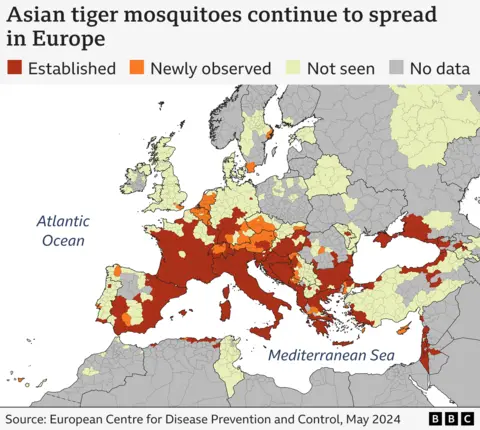 Asian tiger mosquitoes are spreading further north in Europe