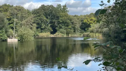BBC A calm lake is fringed by mature deciduous trees. In the distance there is a fisherman sat on a chair, fishing from a specially built wooden platform.