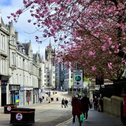 Neil Bonner A long street with shops and pink cherry blossoms.