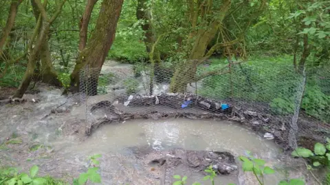 Environment Agency Sewage discharging from a manhole cover