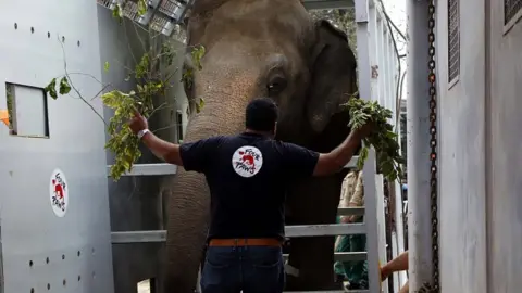 EPA Amir Khalil, veterinarian and mission leader of Four Paws International, stands beside Kaavan as he is being transported to Cambodia, in Islamabad, Pakistan, 29 November 2020