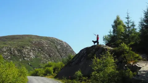 Forest Enterprise Scotland Checking for bats