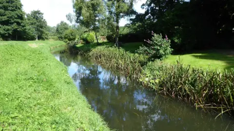 A quiet river bordered by green banks, with a flowering shrub on a tidy lawn beside the water.