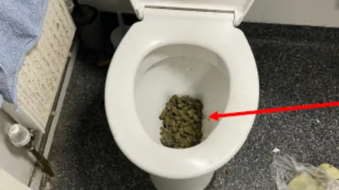 Essex Police A white toilet which has cannabis inside the bowl.