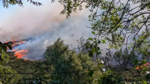 Fire on the green shrubbery in Conwy