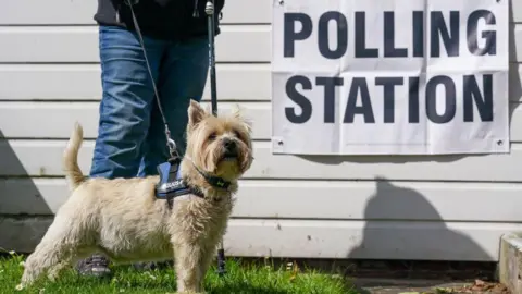 A person is standing behind a dog on a lead. The dog is small and is a beige and white colour, on a building behind it there is a large white sign that reads "polling station" in black letters.
