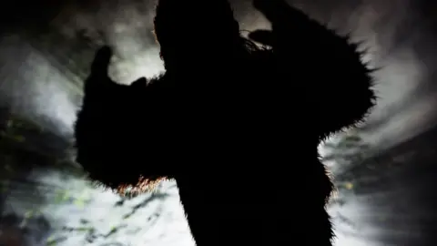 siluete of 'Bigfoot' in a woodland 