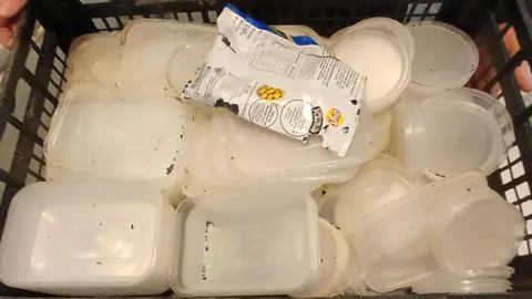 Cardiff Council Stacks of plastic food containers which has mice dropping all around, and a packet of crisps which has been eaten into showing little teeth marks.