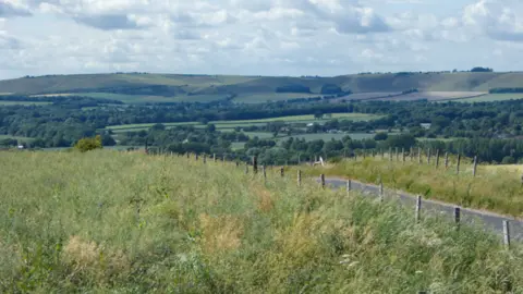 Peter Sharpe/Pewsey Parish Council A green field with rolling hills in the background. There is a single track road running through the centre of the image. There are also lots of trees in the background.