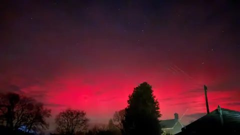 Annie Hogan Auroras in the night sky bright, moving areas of red and dark pink light.