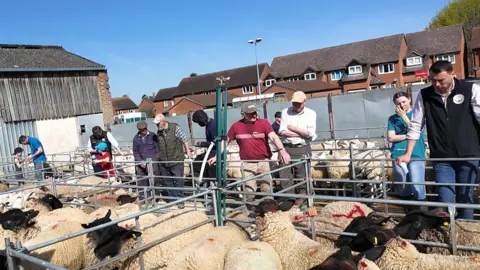 Men, women and children lined uo around pens of sheep at Thame Market. Houses can be seen behind them. It is a sunny day.