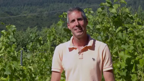 Sam Lindo is standing among his vines at Camel Valley near Bodmin.  He is wearing a peach coloured short sleeved v-neck t-shirt with a collar. Sam has short grey hair and is smiling.