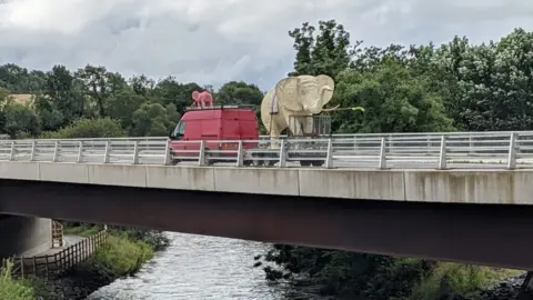 kevin Harkin Kevin Harkin