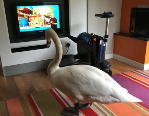 Dulcine Carney Swan watching TV