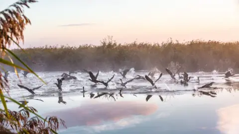 Helen Storer Broads National Park