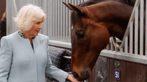 Alice Gough Queen Camilla feeds a bay coloured horse a mint as it rests its head over a stable door. She has short grey hair and wears a light blue blazer with a black dress with green details underneath.